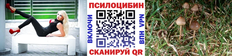 Галлюциногенные грибы мицелий Петушки
